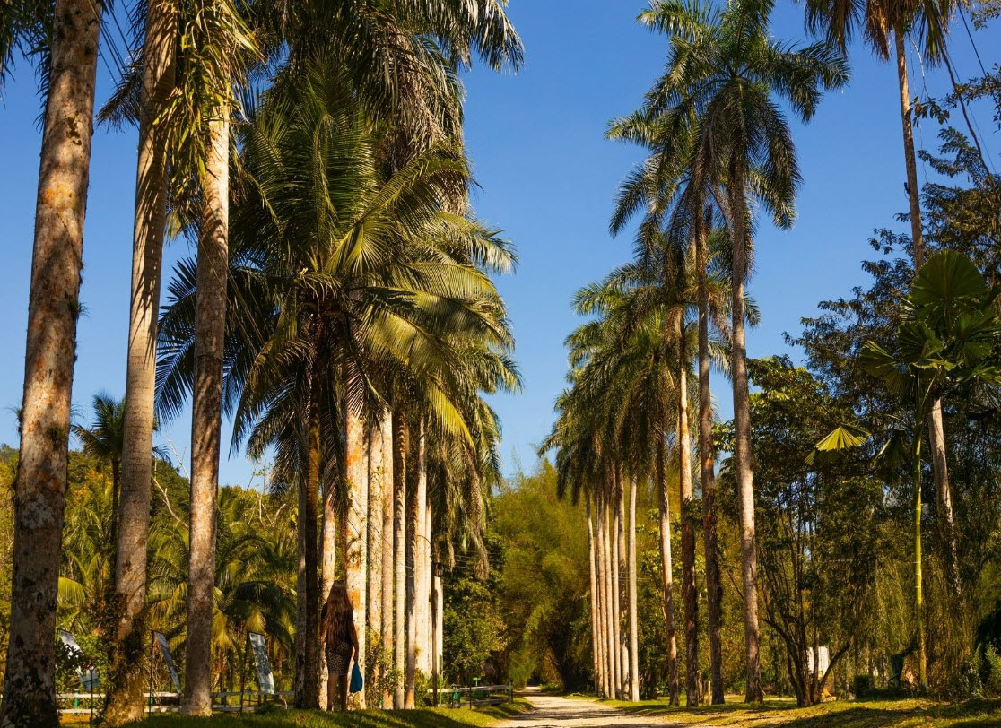Lancetilla Botanical Garden